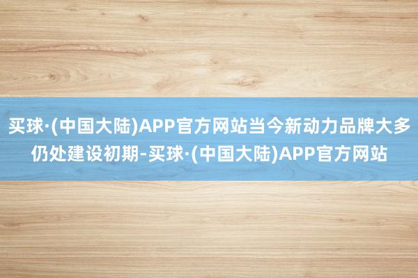 买球·(中国大陆)APP官方网站当今新动力品牌大多仍处建设初期-买球·(中国大陆)APP官方网站