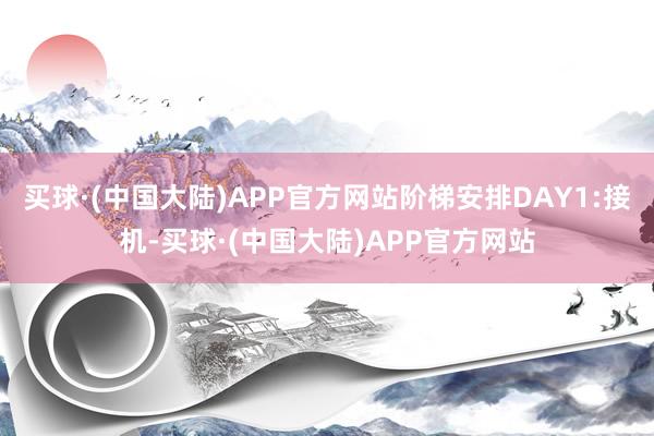 买球·(中国大陆)APP官方网站阶梯安排DAY1:接机-买球·(中国大陆)APP官方网站