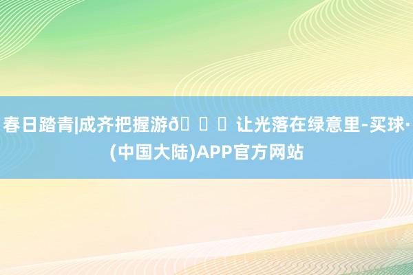 春日踏青|成齐把握游🍃让光落在绿意里-买球·(中国大陆)APP官方网站