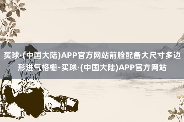 买球·(中国大陆)APP官方网站前脸配备大尺寸多边形进气格栅-买球·(中国大陆)APP官方网站