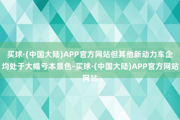 买球·(中国大陆)APP官方网站但其他新动力车企均处于大幅亏本景色-买球·(中国大陆)APP官方网站