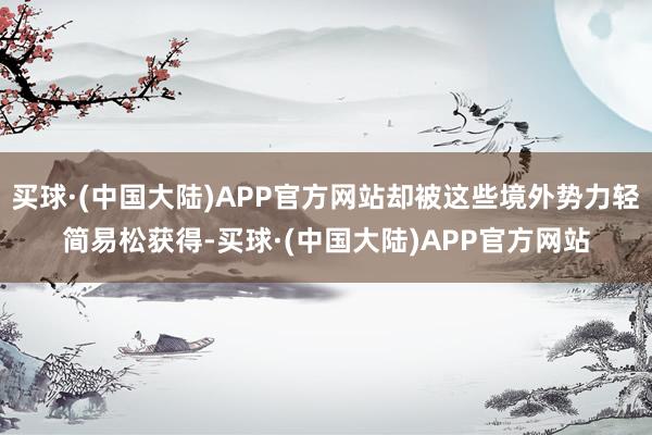 买球·(中国大陆)APP官方网站却被这些境外势力轻简易松获得-买球·(中国大陆)APP官方网站