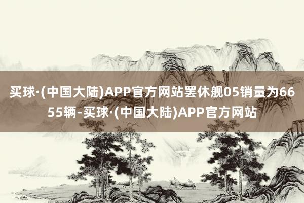 买球·(中国大陆)APP官方网站罢休舰05销量为6655辆-买球·(中国大陆)APP官方网站