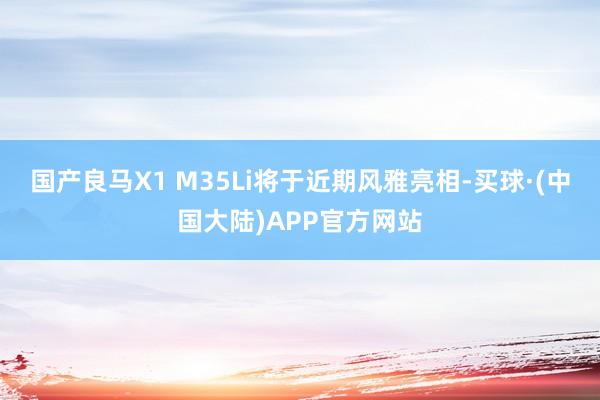 国产良马X1 M35Li将于近期风雅亮相-买球·(中国大陆)APP官方网站