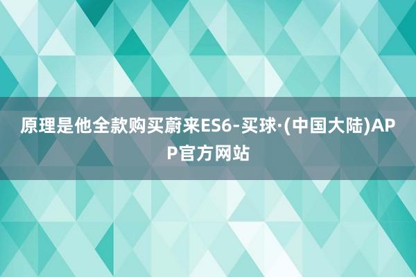 原理是他全款购买蔚来ES6-买球·(中国大陆)APP官方网站