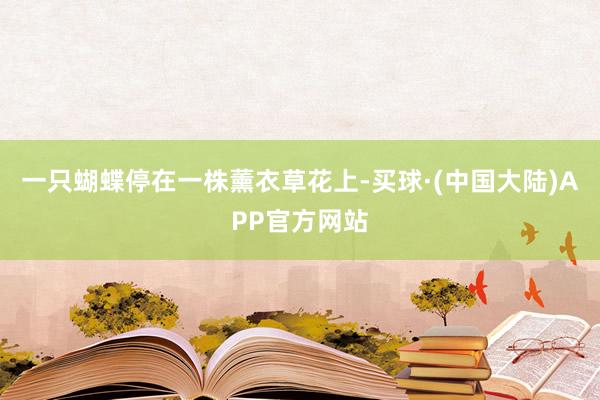 一只蝴蝶停在一株薰衣草花上-买球·(中国大陆)APP官方网站