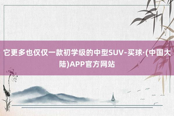 它更多也仅仅一款初学级的中型SUV-买球·(中国大陆)APP官方网站