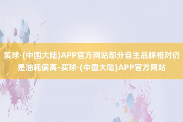 买球·(中国大陆)APP官方网站部分自主品牌相对仍是油耗偏高-买球·(中国大陆)APP官方网站