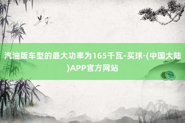 汽油版车型的最大功率为165千瓦-买球·(中国大陆)APP官方网站