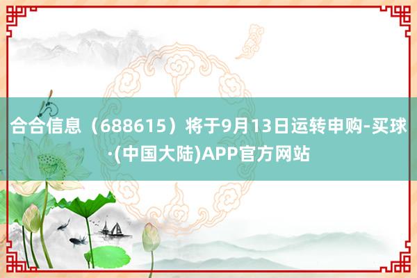 合合信息（688615）将于9月13日运转申购-买球·(中国大陆)APP官方网站