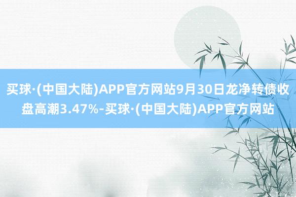 买球·(中国大陆)APP官方网站9月30日龙净转债收盘高潮3.47%-买球·(中国大陆)APP官方网站