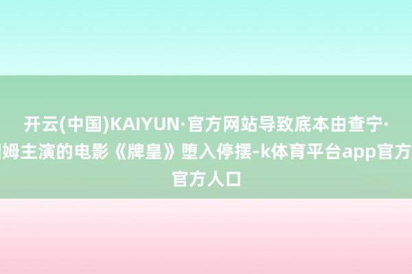 开云(中国)KAIYUN·官方网站导致底本由查宁·塔图姆主演的电影《牌皇》堕入停摆-k体育平台app官方人口