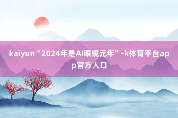 kaiyun“2024年是AI眼镜元年”-k体育平台app官方人口